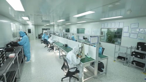 科技強國 創新在吉林發力，重點產業科技創新助推創新型省份建設